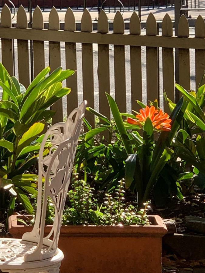 Burwood Bed And Breakfast Сидни Екстериор снимка